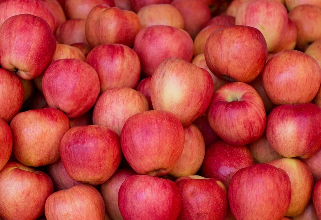 La manzana es una de las frutas mas versátiles a la hora de preparar platillos. Puedes preparar desde ensalada hasta natillas.