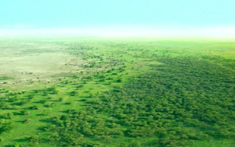 Gran muralla verde de África: ¿Dónde se encuentra?